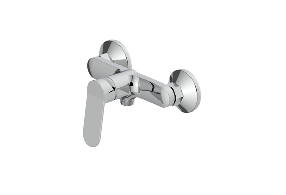 Baño de la ducha de una sola palanca de la ducha